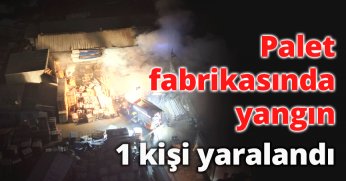 Palet fabrikasında yangın 1 kişi yaralandı