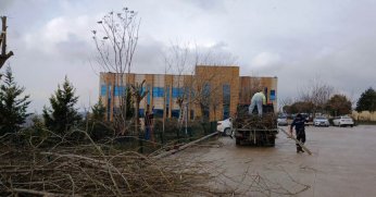 Dilovası Devlet Hastanesi'nde Ağaç Budama ve Çevre Düzenlemesi Yapıldı