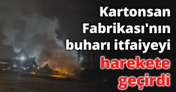 Kartonsan Fabrikası'nın buharı itfaiyeyi harekete geçirdi
