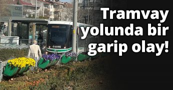 Tramvay yolunda bir garip olay!