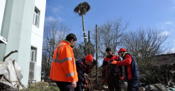Büyükşehir’den leylek yuvasına güvenli dokunuş