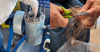 Kültürel miras kenevirle korunacak