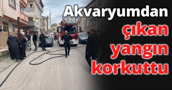 Körfez'de akvaryumdan çıkan yangın korkuttu
