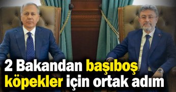 Yerlikaya ve Yumaklı'dan sahipsiz köpekler için ortak adım