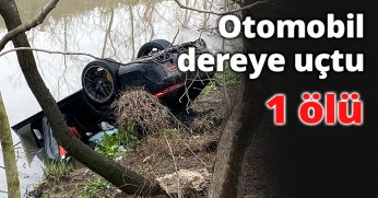Otomobil dereye uçtu 