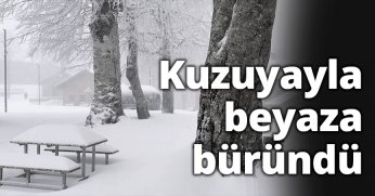 Kuzuyayla beyaza büründü