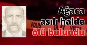  Ağaca asılı halde ölü bulundu