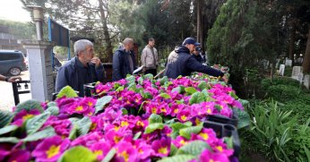 Şehitlikler ve Mezarlıklar Bayramda Çiçek Açtı