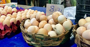 Doğallığın Bedeli: Köy Ürünleri Dudak Uçuklattı!