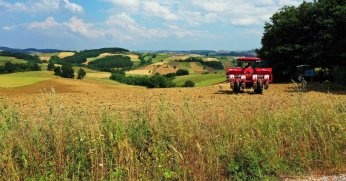Kocaeli Büyükşehiri destekliyor, üretici kazanıyor
