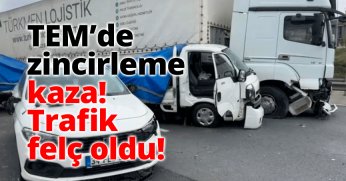 TEM'de zincirleme kaza! Trafik felç oldu 