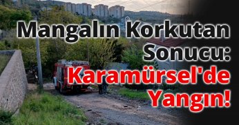 Mangalın korkutan sonucu Karamürsel'de yangın!