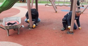 Kocaeli Kartepe'de Parklar Yazın Renklerine Bürünüyor​