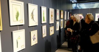 Kocaeli'de şifanın sanatla buluştuğu sergi