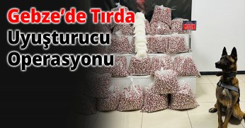 Gebze’de Tırda Uyuşturucu Operasyonu