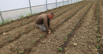 Çiftçinin umudu seralarda yetişiyor!