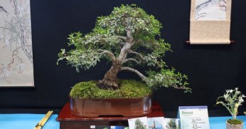 Büyükşehir’le sanatın derinliklerine yolculuk