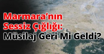 Marmara’nın Sessiz Çığlığı: Müsilaj Geri Mi Geldi?