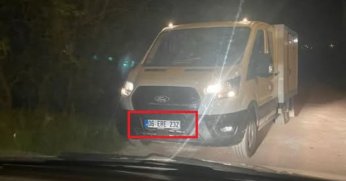 Plakası Belli Araçla Köpekler Gece Yarısı Doğaya Salındı!