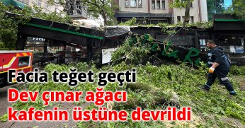 Facia teğet geçti dev çınar kafenin üstüne devrildi