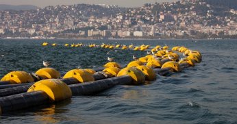 İzmit Körfezi'nden Bereket Fışkırıyor!