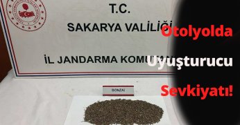 Otoyolda Uyuşturucu Sevkiyatına Geçit Yok: 150 Gram Bonzaiyle Yakalandılar