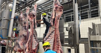 Sakatatları açık halde çöpe atmayın