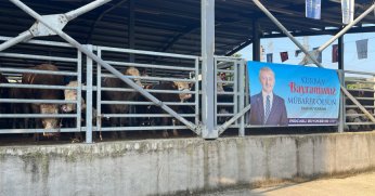 Büyükşehir’in modern mezbahasında kurbanlar kesiliyor