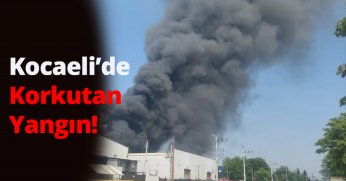 Kocaeli'de Boya Fabrikasında Korkutan Yangın: Ekipler Müdahale Ediyor!