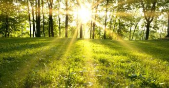 Kocaeli Yeni Haftaya Güneşle Merhaba Diyor