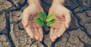 Toprak Suskun, Sofralar Sessiz