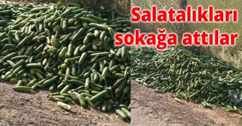 Salatalıkları sokağa attılar