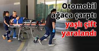 Otomobil ağaca çarptı, yaşlı çift yaralandı