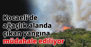 Kocaeli'de ağaçlık alanda çıkan yangına müdahale ediliyor