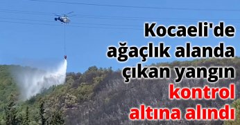 Kocaeli'de ağaçlık alanda çıkan yangın kontrol altına alındı