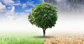 Türkiye, İklim Kanunu ile Yeşil Geleceğe Hukuksal Adım Atıyor