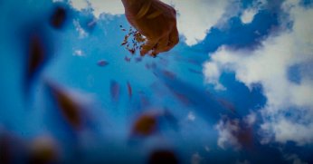 Büyükşehir, kırsal kalkınmada lokomotif oluyor