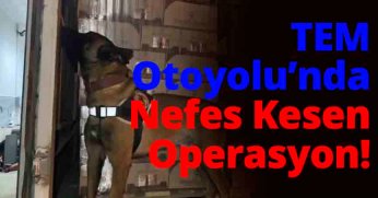 TEM Otoyolu’nda Nefes Kesen Operasyon: 9 Kilogram Kokain Ele Geçirildi!