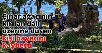 Çınar ağacının kırılan dalı üzerine düşen kişi hayatını kaybetti