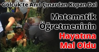 Gölcük’te Anıt Çınardan Kopan Dal Matematik Öğretmeninin Hayatına Mal Oldu