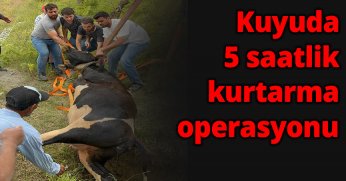 Kuyuda 5 saatlik kurtarma operasyonu