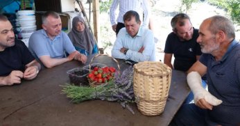 Başkan Büyükakın çilek hasadına katıldı