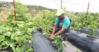 Yeşil Geleceğe Adım Attı