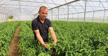 Kocaeli Büyükşehir’in desteğiyle hasat iyi, verim yüksek;