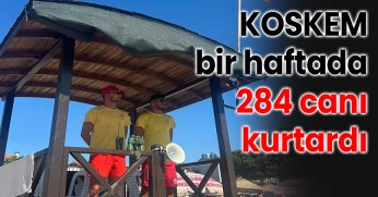 KOSKEM bir haftada 284 canı kurtardı