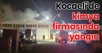 Kocaeli'de kimya firmasında yangın
