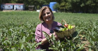 Belediyemizin tarlaları Aşevi’mizle ihtiyaç sahiplerinin sofrasına ulaşıyor