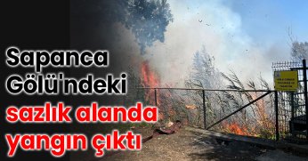 Sapanca Gölü'ndeki sazlık alanda yangın çıktı