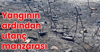 Yangının ardından utanç manzarası