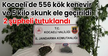 556 kök kenevir ve 5 kilo skunk ele geçirildi 2 şüpheli tutuklandı